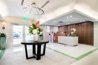 Sadigo Court Hotel South Beach