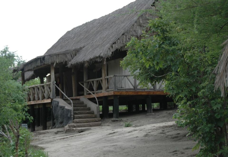 Wild Effectiviteit toetje Roika Tarangire Tented Lodge-Babati Updated 2023 Room Price-Reviews & Deals  | Trip.com