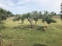 Masseria Scannaturco Hotels in 