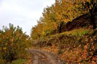 La Posada del Casar