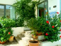 Hotel Albània Hotels in Otranto