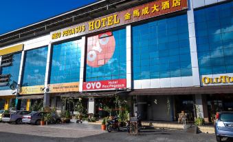 Super OYO 1114 Neo Pegasus Hotel