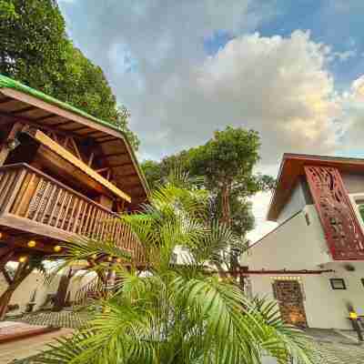 Treehouse Executive Villas Hotel Exterior