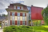 Santé Royale Hotel- & Gesundheitsresort Bad Brambach - Wifi