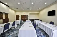 Homewood Suites by Hilton New Braunfels - واي فاي