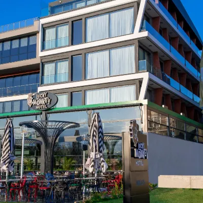 Lucky Monkey Hotel Hoteles cerca de BLM Beach