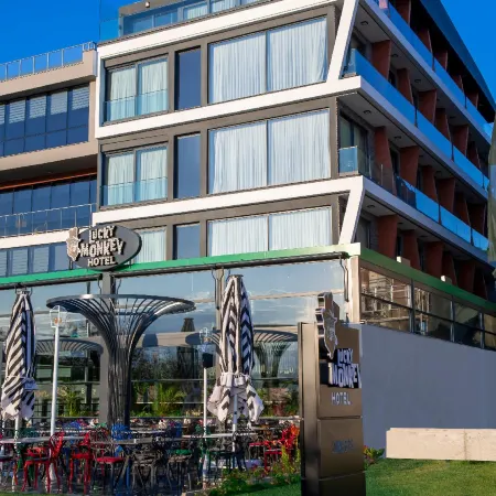 Lucky Monkey Hotel