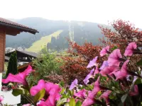 Ferienhaus Eva - Mountain view