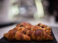 Adalesia Hotel & Coffee Hotels near Vanchiglia
