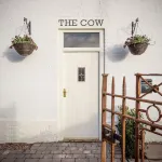 The Cow Dalbury