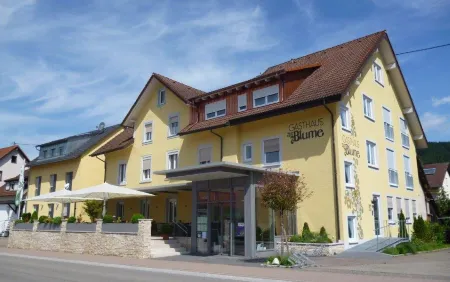 Gasthof Blume Отели в г. Хаслах