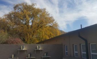 a large tree is standing in front of a house with multiple pots on the wall at Upper House Guesthouse