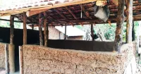Araliya Self Cooking Resort Dambulla - 2-Star