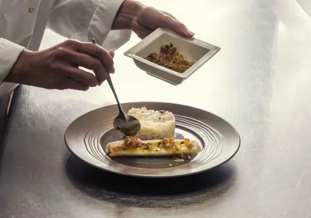 Hôtel Mercure Paris le Bourget