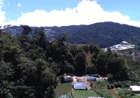 The Pines Hotel