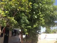 My House