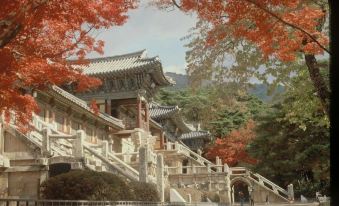 5. 경주 덴바스타 ..