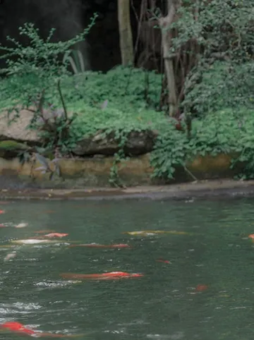 รูปภาพของเรือนประทุม รีสอร์ต