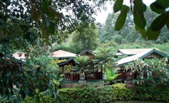 Bwindi View Lodge & Camp Site