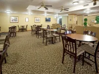 Holiday Inn Express HARLINGEN by IHG - breakfast