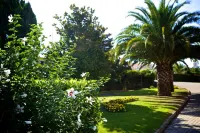 Hotel SJ