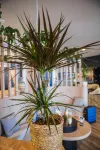 Ibis Budget Rouen Centre Rive Gauche Hôtels à : Sotteville-lès-Rouen