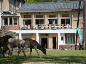 Mountain Home Lodge in Deer Park