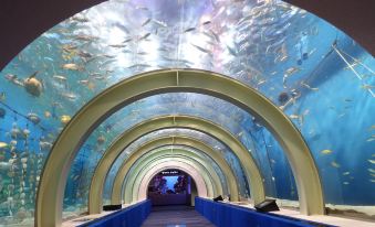 a tunnel - like structure with a blue , curved ceiling and walls covered in fish is filled with various fish at Hotel Aomori