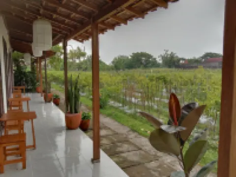 Rosella Cottages - Homestay - Yogyakarta