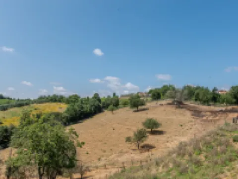 Olinto Hotels in Cinigiano