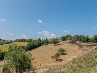 Olinto Hotels in Cinigiano