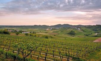 Hotel Gredič - Romantic Vineyard Escape