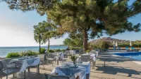 Delfinia Hotel & Bungalows