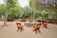 Warthogs Bush Lodge Hotels in West Rand