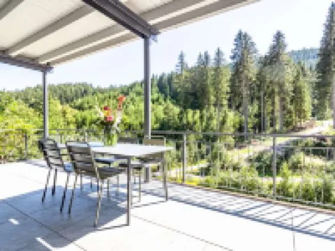 斯圖布朗根巴赫 蒂蒂湖-新城酒店