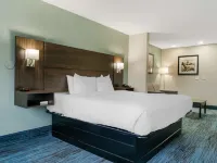 Best Western Clare Hotel Hotels in Clare County