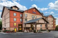 Comfort Inn & Suites Branson Meadows Hotels near The Branson Coaster