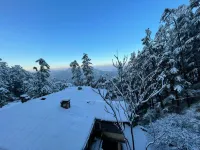 Backwoods B&B Mall Road Shimla