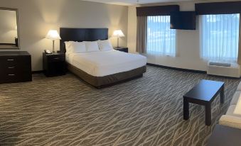 Best Western Plus Valdosta Hotel  Suites
