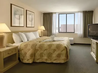 Comfort Inn Downtown