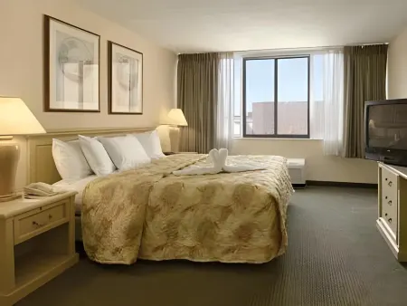 Comfort Inn Downtown