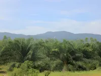 Palm Hill Resort