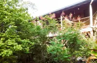 Treetop 'Jungle Like' Escape in San Ignacio – Your Belize Oasis Awaits! Các khách sạn ở 