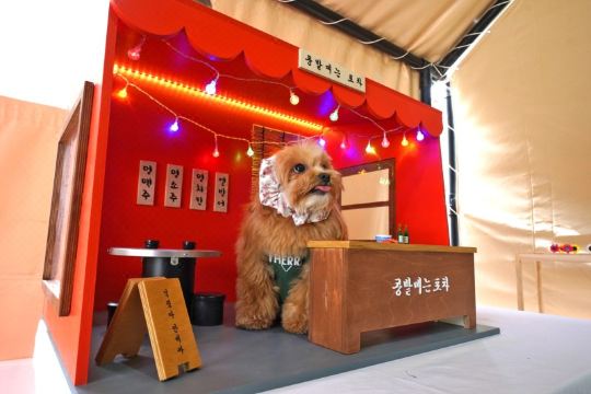 청양 콩밭매는댕댕이펜션