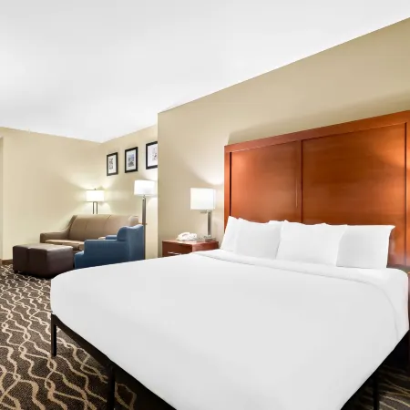 Comfort Suites Tampa Airport North Отели рядом с достопримечательностью «Зоопарк Лоури»