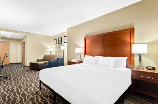 Comfort Suites Tampa Airport North Hotels near Steinbrenner Field