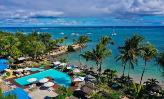 3. Coral Az..