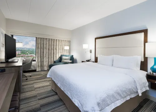 Hampton Inn Pittsburgh University/Medical Center Các khách sạn ở West Homestead