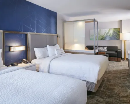 SpringHill Suites by Marriott Wixom Novi Hotels in Wixom