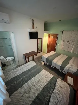 Hotel Cosoleacaque Centro Hotels in Minatitlan